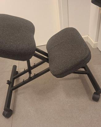 Sedia ergonomica ikea EIFRED