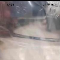 Stagna in acciaio 25 lt