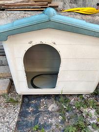 casetta per cani
