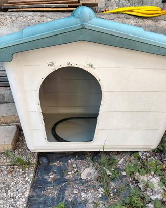 casetta per cani