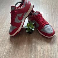 Nike dunk grigie e rosse