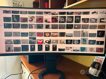 EIZO FlexScan EV3895