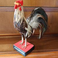 Statuetta gallo Phoenix, souvenir delle Filippine