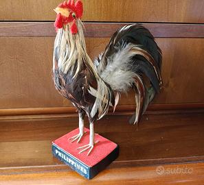 Statuetta gallo Phoenix, souvenir delle Filippine