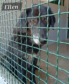 Il mondo dietro le sbarre da 13 anni