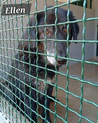 Il mondo dietro le sbarre da 13 anni