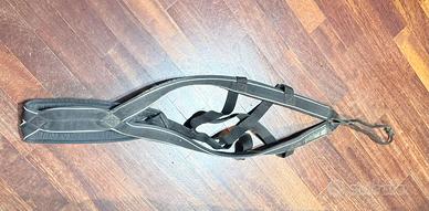 Imbrago traino sleddog cane SBKItalia