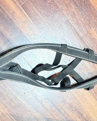 Imbrago traino sleddog cane SBKItalia