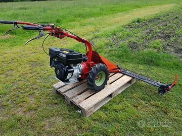 Falciatrice  Aebi mod. AM8 & generatore Bosch 2.2K