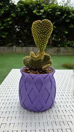 Vaso personalizzabile stampato in 3d