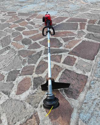 Decespugliatore Efco