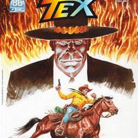 COLOR TEX 19