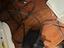 Immagine 3