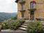 Immagine 16
