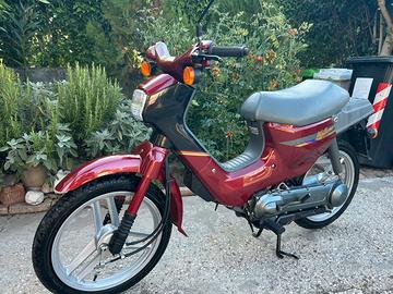 Honda Wallaroo
