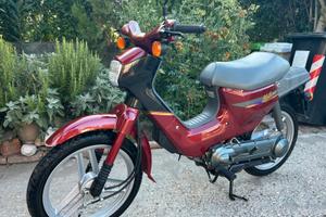 Honda Wallaroo