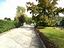 Immagine 11