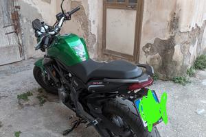 Benelli 302