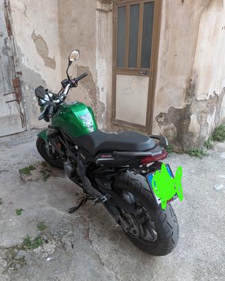 Benelli 302