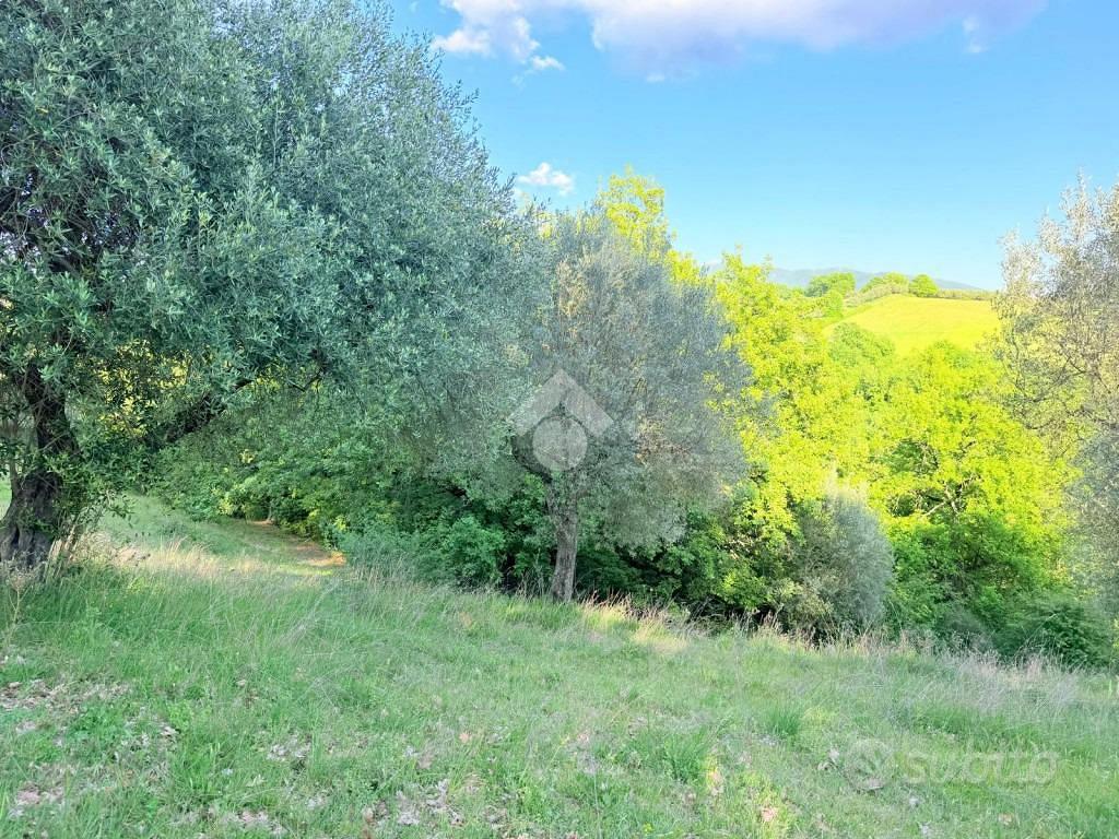 TER. AGRICOLO A TORRI IN SABINA - Vista 4