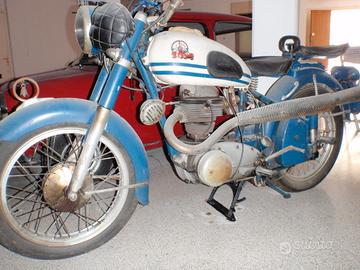 HOREX Regina 250