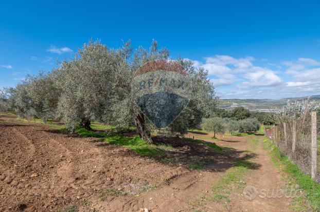 Terreno - Caltagirone