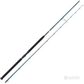 Canna da pesca sgs2