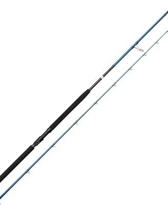 Canna da pesca sgs2