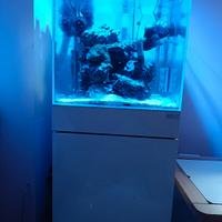 Acquario marino aqpet