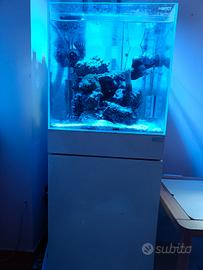 Acquario marino aqpet