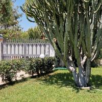 Villa Clarissa San Lorenzo Marzamemi