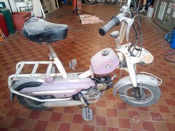 Ciclomotore MINI KID CAPRIOLO