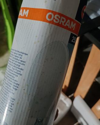 lampada per lampione stradale E40 250W