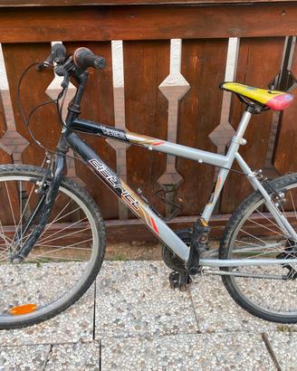 mountain bike