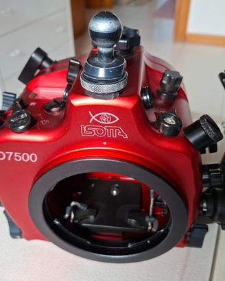 Custodia fotosub ISOTTA x Nikon D7500