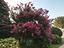 Immagine 14