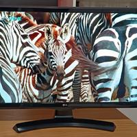 Tv Monitor LG HD 24 pollici come nuovo