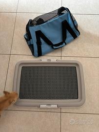 Trasportino e lettiera cani