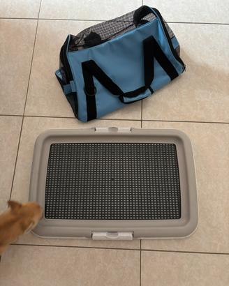 Trasportino e lettiera cani