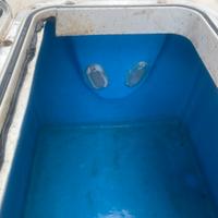 Vasca del vivo razzi