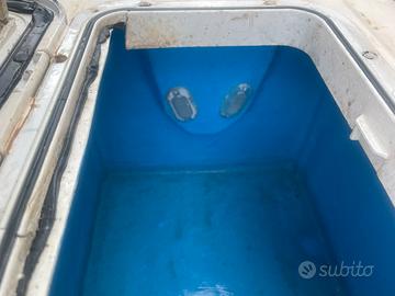 Vasca del vivo razzi