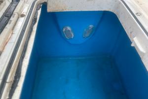 Vasca del vivo razzi