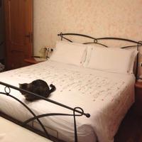 struttura letto matrimoniale ferro battuto 