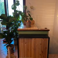 Credenza ikea mod. Ivar
