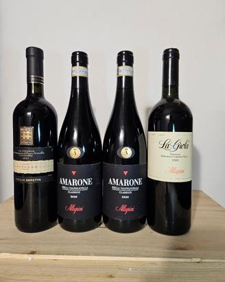 Amarone Allegrini sottocosto e valpolicella