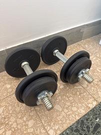 Manubri palestra 20 kg