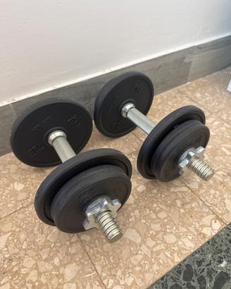 Manubri palestra 20 kg