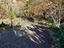 Immagine 12