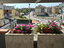 Immagine 12
