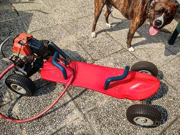 skateboard a motore